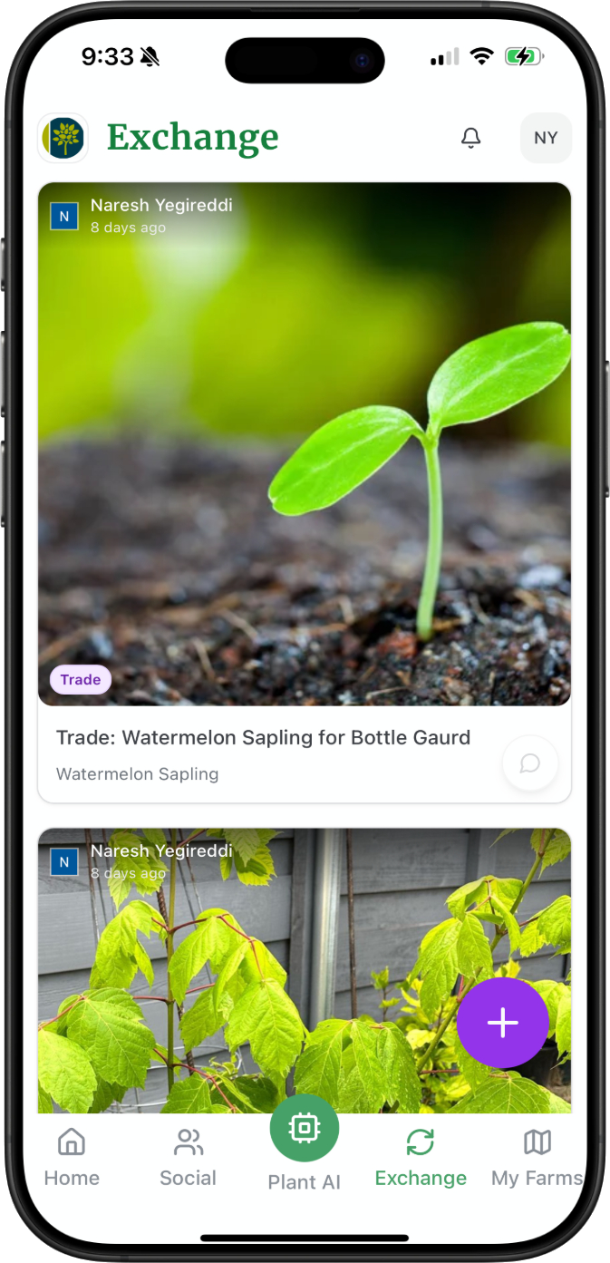 Local exchange marketplace showing available trades and community offers